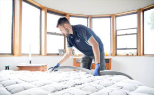 mattress cleaning experts